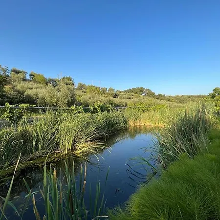 Lejlighed Casa Carleo
