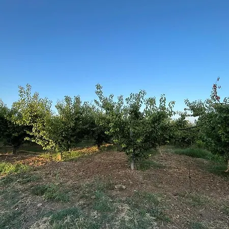 Casa Carleo Lejlighed *