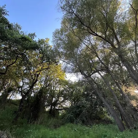 Casa Carleo Lejlighed *