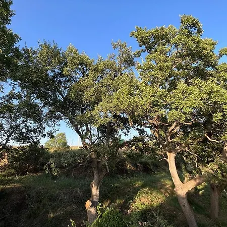 Lejlighed Casa Carleo *