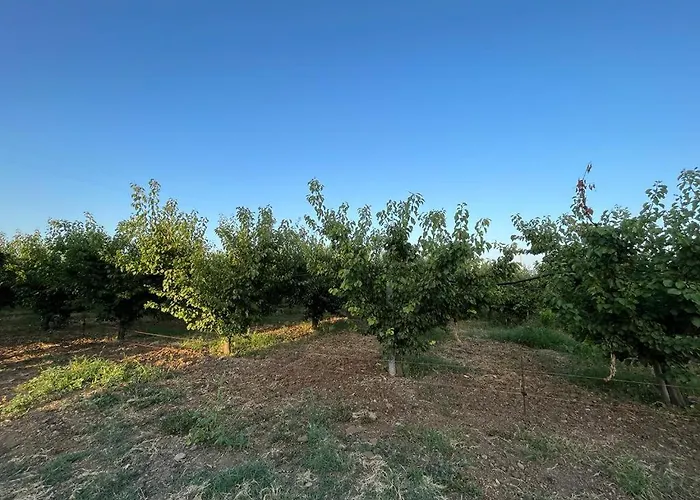 Casa Carleo Appartement *