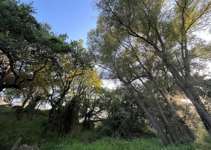 Casa Carleo Appartement *