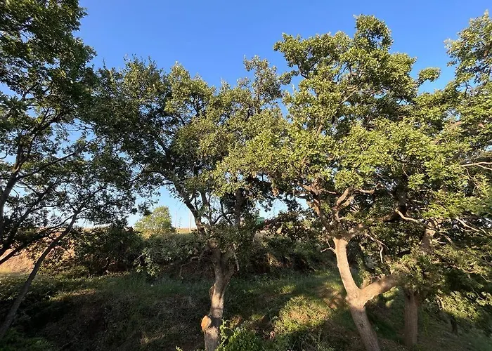 Appartement Casa Carleo *